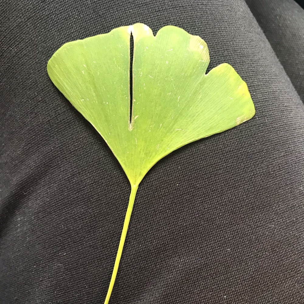 Meet your Posher, Terri